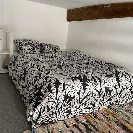 Appartement De Caractere Au Coeur Du Centre-Ville 몽펠리에 외부 사진