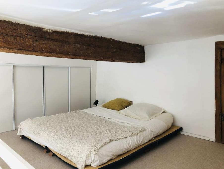 Appartement De Caractere Au Coeur Du Centre-Ville 몽펠리에 외부 사진